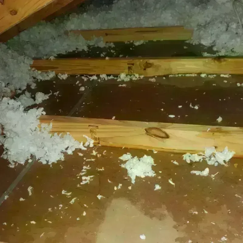 Attic Water Damage in Woodbourne, PA